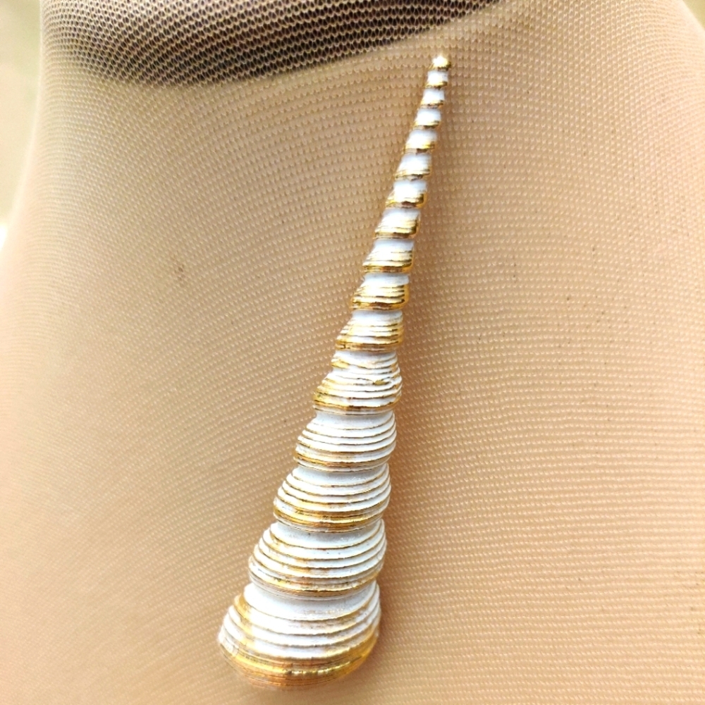 Vintage conch shell brooch 🐚 EUC